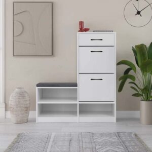 Multi-functional Shoe Cabinet