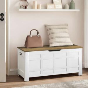 Shoe Cabinet